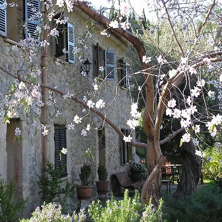 Agroturismo S'olivar Estellencs (Mallorca)