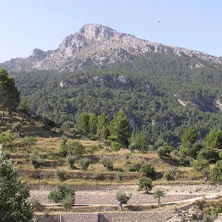 Agroturismo S'olivar * Estellencs (Mallorca)