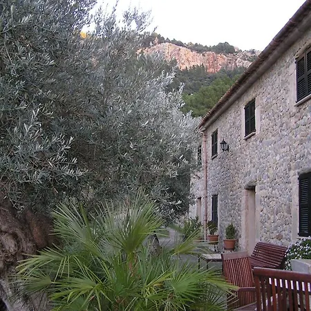Agroturismo S'olivar Estellencs (Mallorca)