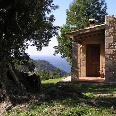 Agroturismo S'olivar Estellencs (Mallorca)