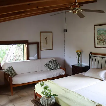 Gospodarstwo agroturystyczne Agroturismo S'olivar